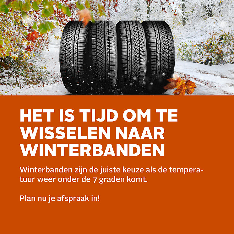 Carteam Autobedrijf Garant